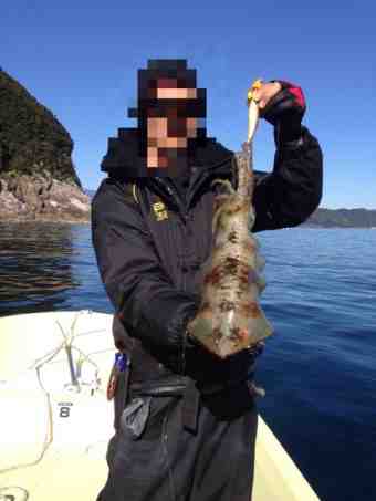 {FC23DC30-47DF-447E-A4A5-AFF37E02A520:01}