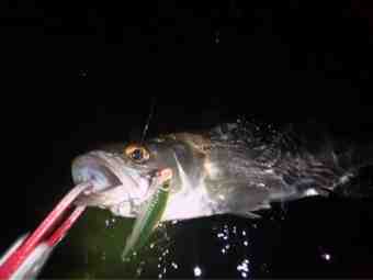 {9E4DC651-F7CE-4F72-A44C-F3CA6C699F45}