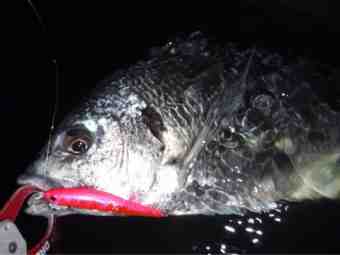 {5A19B59C-BB37-4992-BAAE-83BF20B8AFBF}