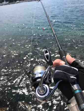 {F005E63C-83EF-45C1-B435-06BD2C68D399}