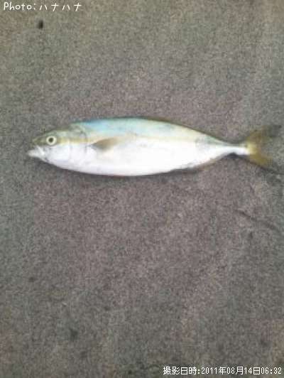 ���֤����