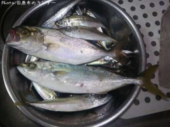 ���֥������祴��