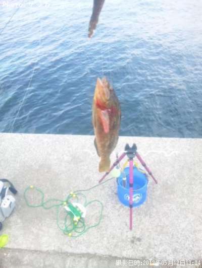 ���֥���