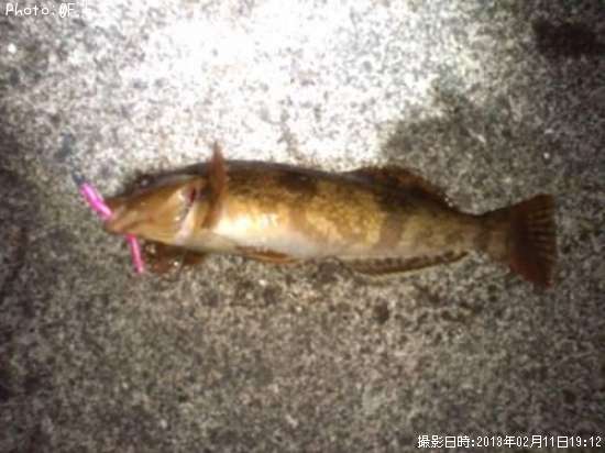 �����ʥ�