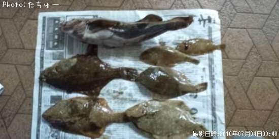 �����ʥᥫ�쥤