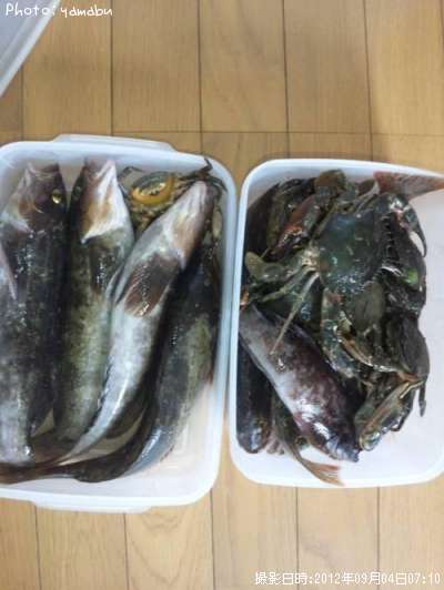 �����ʥ�ʥ������