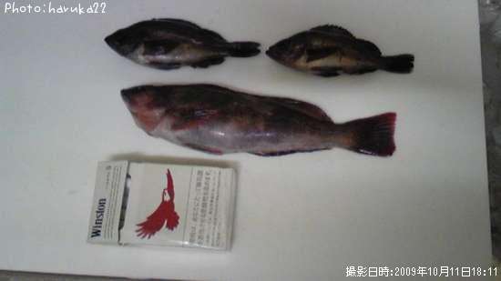 �����ʥᡡ��Х�