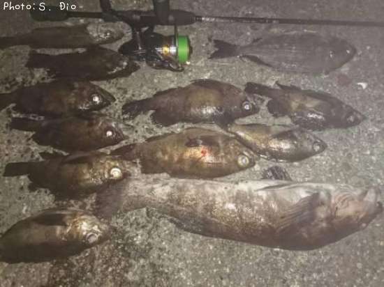 �����ʥᡢ��Х�