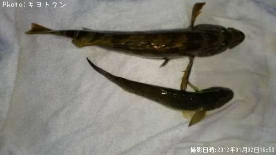 �����ʥ�ȥϥ�