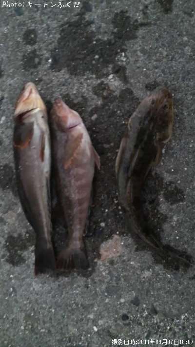 �����ʥ�ȥޥ���