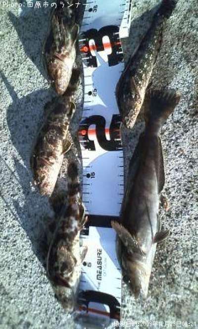 �����ʥ�ȥ����Υ���Х�