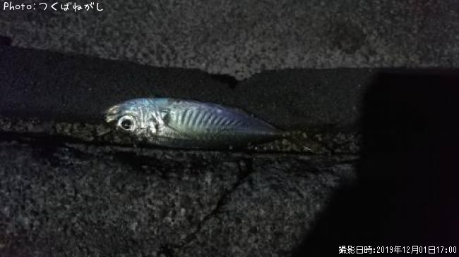 ���������ʥϥ�