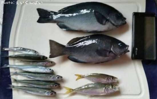 �����������������亮