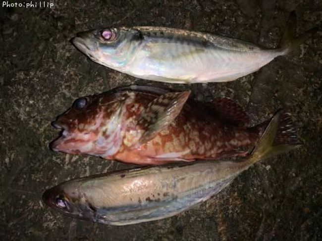 ������������