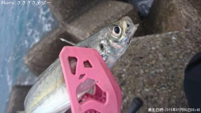 ���������������ե�