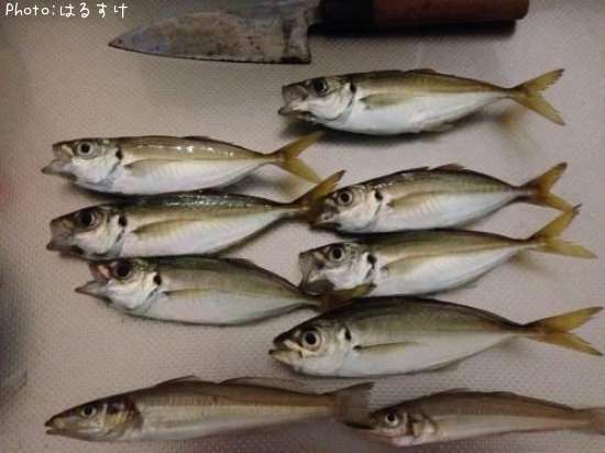 ��������������