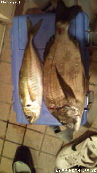 ��������������