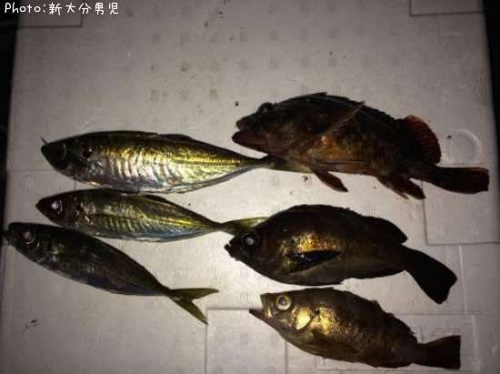 ��������Х롢�ۥ�