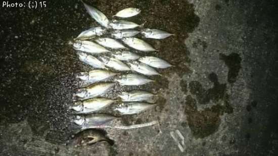 ��������Ф롢����