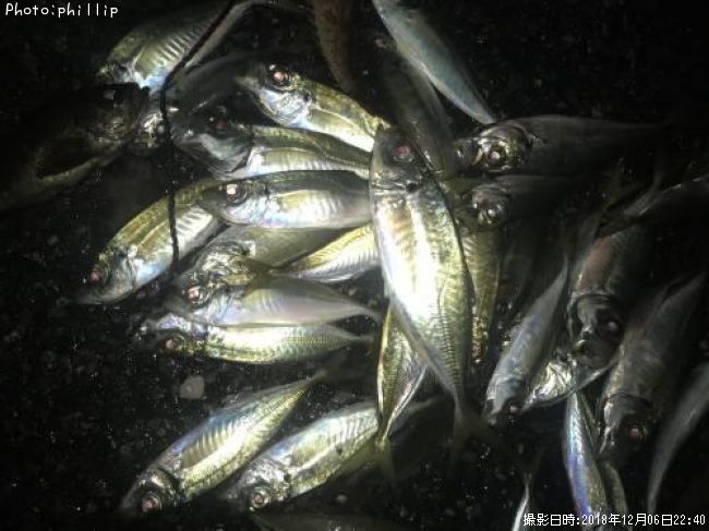 ��������Х롢������