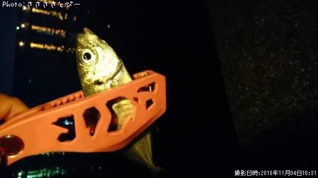 ��������Х�������Х����ե�