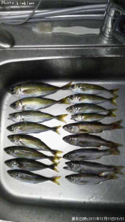 ��������Ĥä�