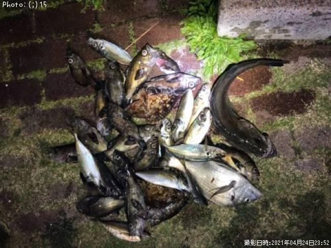 ����������¾