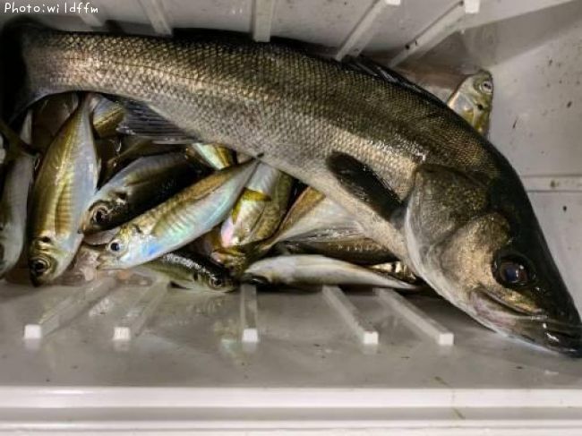 ������������