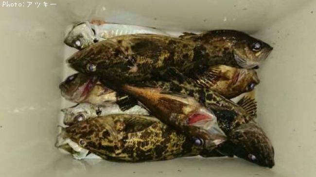 �����������Υ���Х�