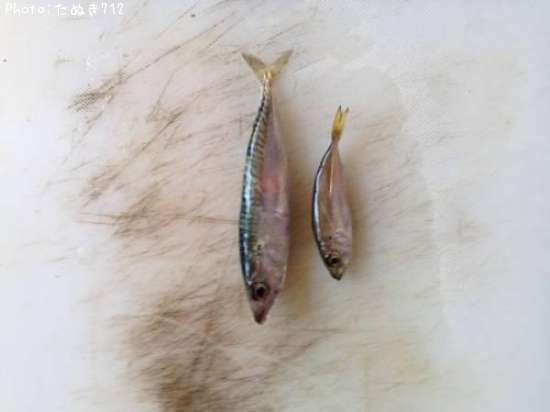 �����ȥ���