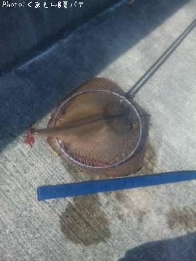 ��������������������