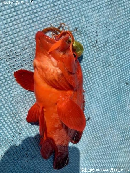 �����ߡ��Х��ڥ����ϥ���