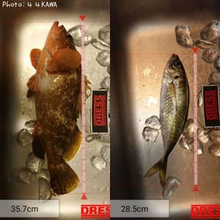 ������������