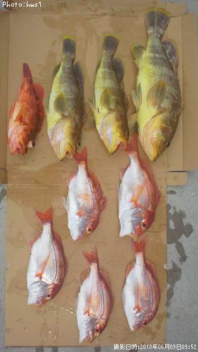 �������ʤ�