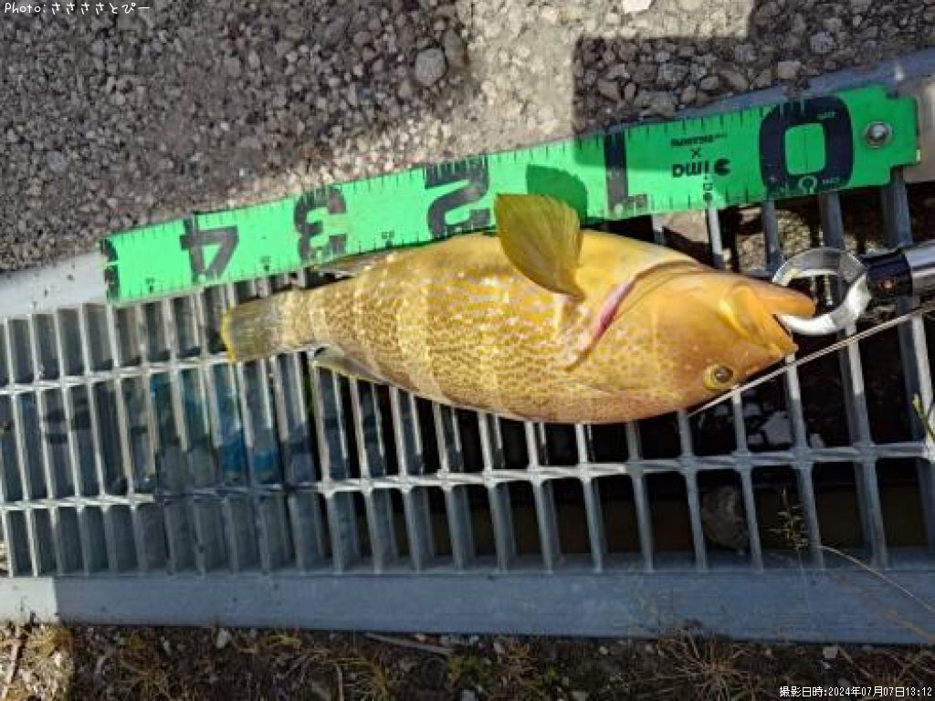 �����ϥ������С����������ĥ�