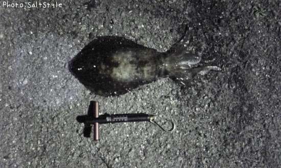 �����걨±