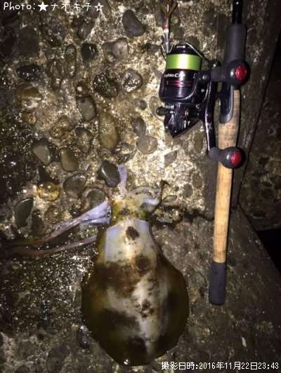 �����ꥤ�����å���