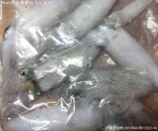 �����ꥤ���ʿ��ҡˤ���¾�ҥ���