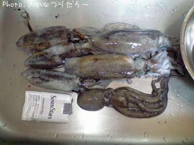 �����ꥤ��
����