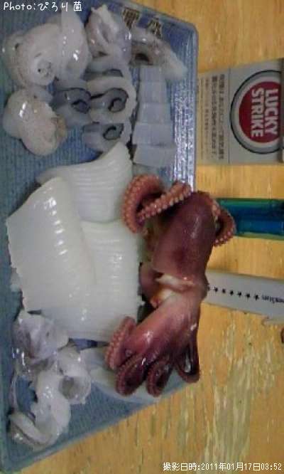 �����ꤣ������