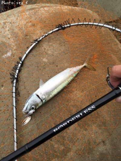 �С�����