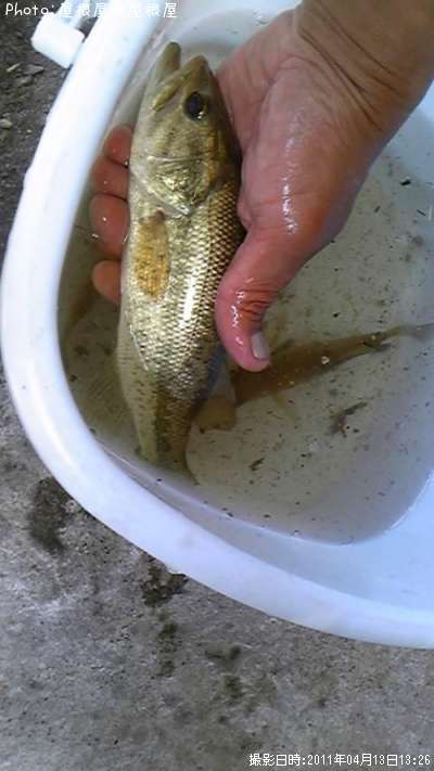 �Х����֥롼����