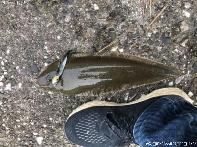 ��ӥ�ᡢ�ޥ������٥���