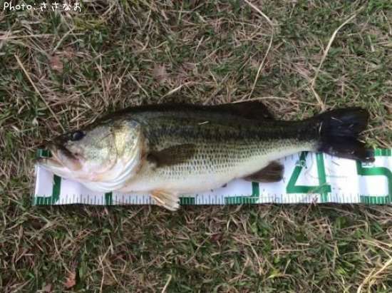 �֥�å��Х�����������