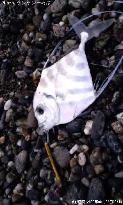 �֥�󥫣�����