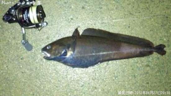 �������ʾС�