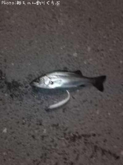 �����Х�