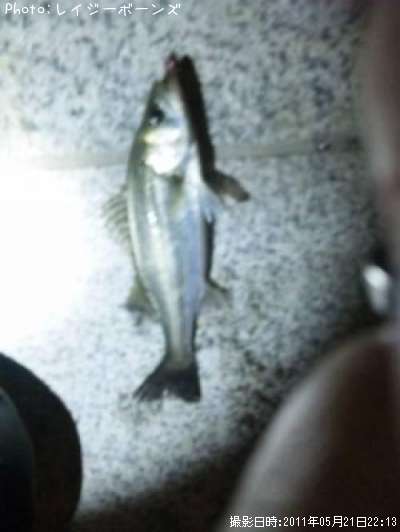 �����Х�