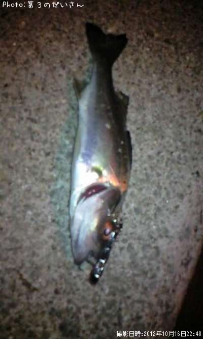 �����Х�