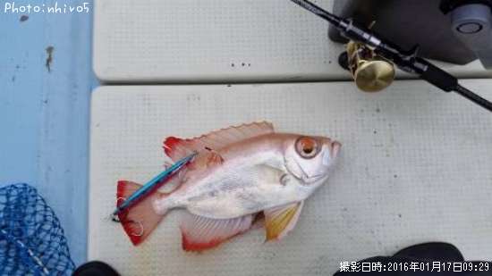 �����ᥭ��ȥ�